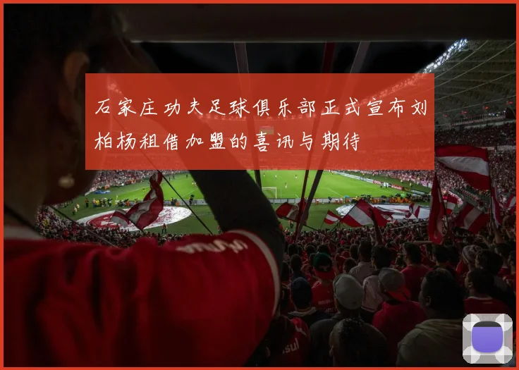 石家庄功夫足球俱乐部正式宣布刘柏杨租借加盟的喜讯与期待